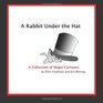 A Rabbit Under the Hat