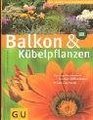 Balkon  Kbelpflanzen