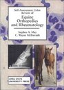 SelfAssessment Color Review of Equine Orthopedics and Rheumatology