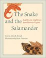 The Snake and the Salamander Reptiles and Amphibians from Maine to Virginia