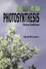 Photosynthesis