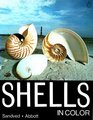 Shells in Color