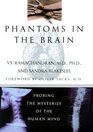 Phantoms in the Brain Probing the Mysteries of the Human Mind