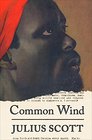 A Common Wind: Afro-American Organization in the Revolution Against Slavery