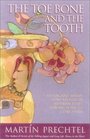 The Toe Bone and the Tooth An Ancient Mayan Story Relived in Modern Times Leaving Home to Come Home