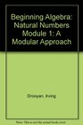 Beginning Algebra Natural Numbers Module 1 A Modular Approach