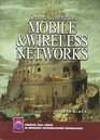 Second Generation Mobile and Wireless Networks