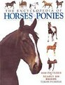 The Encyclopedia of Horses Ponies