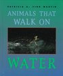 Animals That Walk on Water