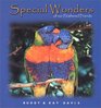 Special Wonders of Our Feathered Friends (Special Wonders)