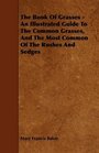 The Book Of Grasses - An Illustrated Guide To The Common Grasses, And The Most Common Of The Rushes And Sedges
