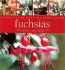 Fuchsias A Practical StepByStep Guide