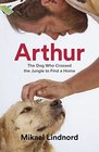 Arthur The Dog who Crossed the Jungle to Find a Home