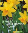 A Year in Your Garden (Essential Gardening)