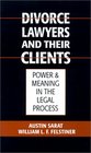 Divorce Lawyers and Their Clients Power and Meaning in the Legal Process