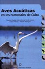 Aves Acuaticas En Los Humedales De Cuba