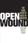 Open Wound The Long View of Race in America