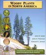 Woody Plants in North America