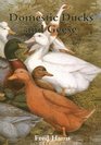 Domestic Ducks  Geese (Album Series)