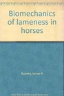 Biomechanics of lameness in horses
