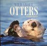 Wild about Otters