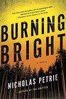 Burning Bright (Peter Ash, Bk 2)