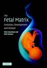 The Fetal Matrix Evolution Development and Disease