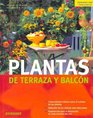 Plantas de Terraza y Balcon