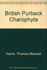 British Purbeck Charophyta