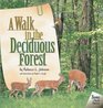 A Walk in the Deciduous Forest