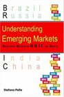 Understanding Emerging Markets Building Business Bric by Brick
