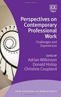 Perspectives on Contemporary Professional Work Challenges and Experiences
