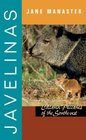 Javelinas