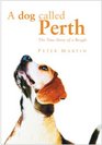 A DOG CALLED PERTH THE TRUE STORY OF A BEAGLE