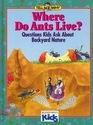 Where Do Ants Live Questions Kids Ask About Backyard Nature