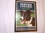 Border Collies An Owner's Companion