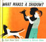 What Makes A Shadow A Let'sReadandFindOut Science Book