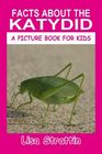 Facts About the Katydid