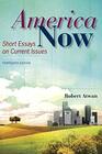 America Now Short Essays on Current Issues
