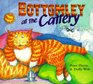 Bottomley at the Cattery