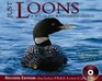Just Loons A Wildlife Watcher's Guide