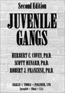 Juvenile Gangs