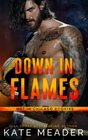 Down in Flames (Hot in Chicago Rookies)