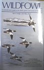 Waterfowl An identification guide to the ducks geese and swans of the world