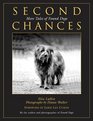 Second Chances  More Tales of Found Dogs