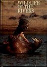 Wildlife of the Rivers