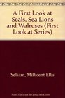 A First Look at Seals Sea Lions and Walruses