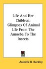 Life And Her Children Glimpses Of Animal Life From The Amoeba To The Insects