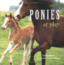 Ponies At Play