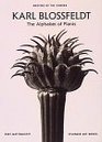 Alphabet of Plants (Masters of the Camera)